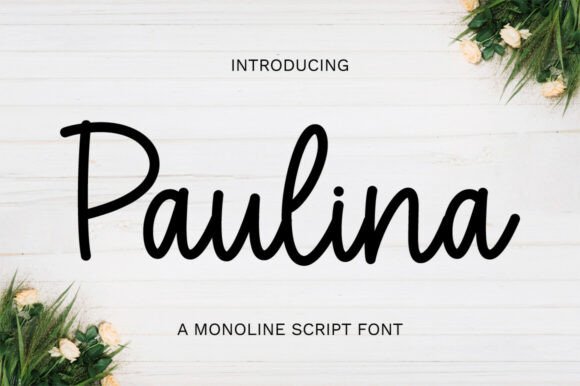 Paulina: A Script Font That Balances Grace and Readability